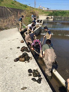 アユの産卵場を整備しよう！