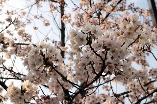 平成27年度最終日