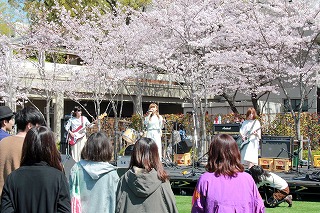 春の勧誘活動