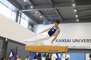 日本版NCAAに採択