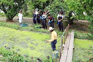 吹田くわい植え付けボランティア