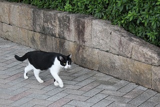 秋学期