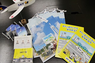 スカイマーク合同社会実験