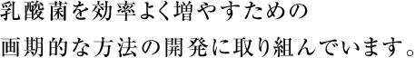 乳酸菌を効率よく増やすための画期的な方法の開発に取り組んでいます。