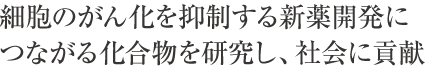 細胞のがん化を抑制する新薬開発につながる化合物を研究し、社会に貢献