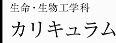 生命・生物工学科　カリキュラム