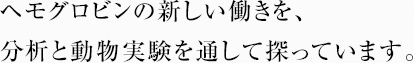 ヘモグロビンの新しい働きを、分析と動物実験を通して探っています。