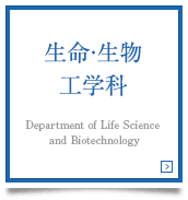 生命・生物工学科 Department of Life Science and Biotechnology