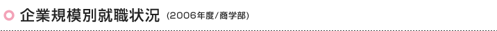 企業規模別就職状況(2006年度/商学部)