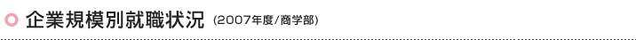 企業規模別就職状況(2007年度/商学部)