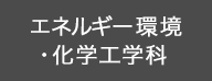 エネルギー・環境工学科