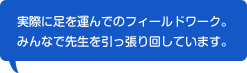 実際に足を運んでのフィールドワーク。みんなで先生を引っ張り回しています。