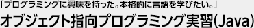 「プログラミングに興味を持った。本格的に言語を学びたい。」 オブジェクト指向プログラミング実習（Java）