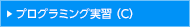 プログラミング実習 （C）