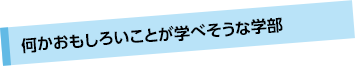 何かおもしろいことが学べそうな学部