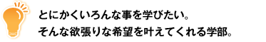 とにかくいろんな事を学びたい。そんな欲張りな希望を叶えてくれる学部。