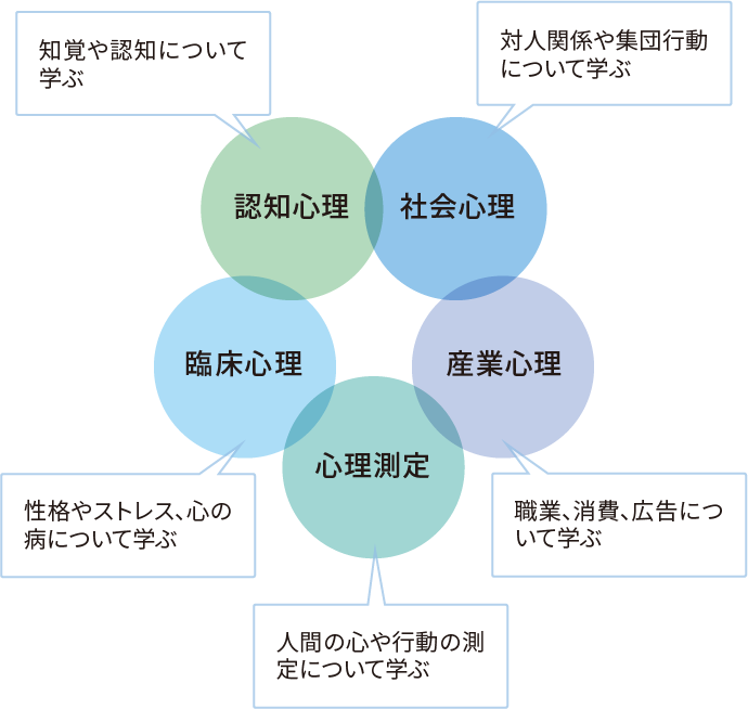 認知心理 社会心理 臨床心理 産業心理 心理測定
