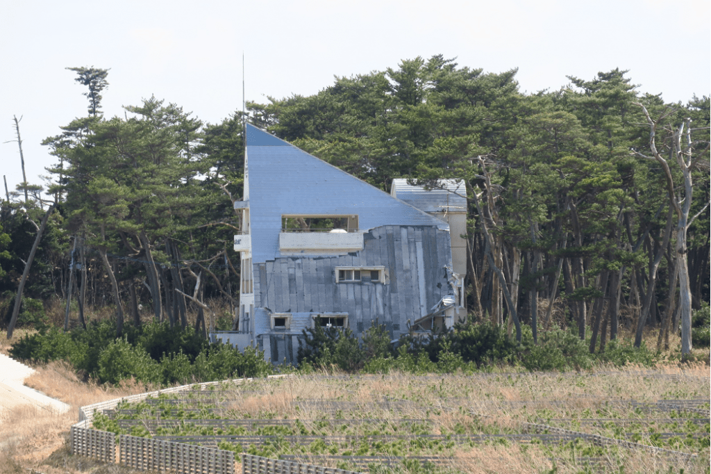 写真1