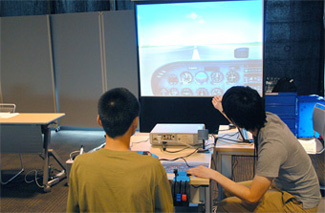 Become a Pilot!? Experiencing a Flight Simulator