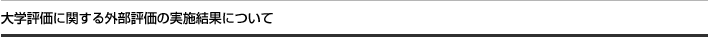 大学評価に関する外部評価の実施結果について
