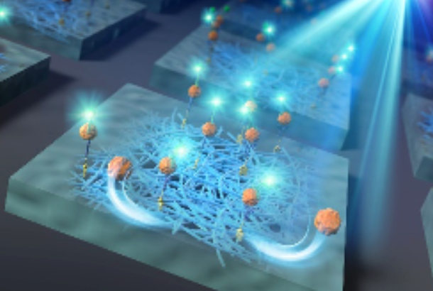 Graphic illustration of the visible light fabrication of protein patterns using antifouling polymer gel platforms. Cover of ChemComm 56 Number 4, 1 21 May 2020.