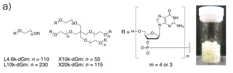 L; linear PEG, X; four-arm PEG, dG; DNA portion