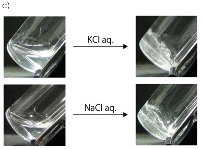 Metal-ion-responsive hydrogels utilizing G-quadruplex formation between PEG–DNA conjugates.