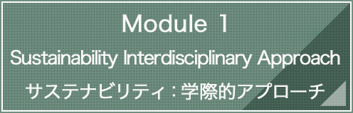 Module 1 Sustainability Interdisciplinary Approach