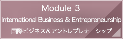 Module 3:International Business & Entrepreneurship