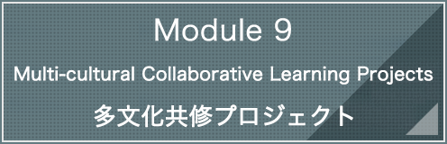Module 9 Multi-cultural Collaborative Learning Projects