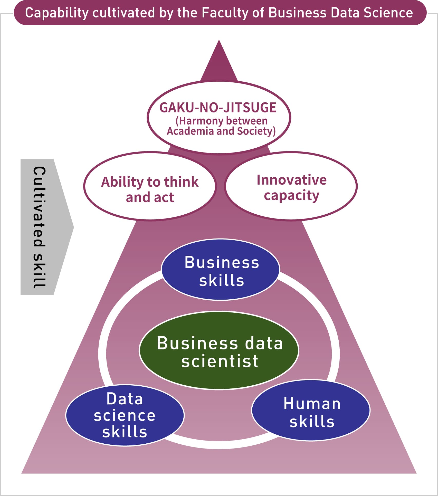 Capability cultivated by the Faculty of Business Data Science