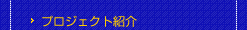 プロジェクト紹介
