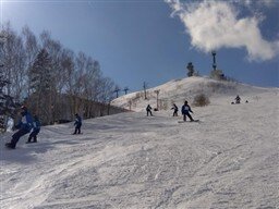 Image_256.jpg