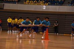 KUN_0733_256.jpg