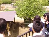 20110502-03.jpg