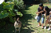 20110816_Cairns003.jpg