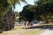 20110823_Cairns001.jpg