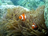 20110827_Cairns003.jpg