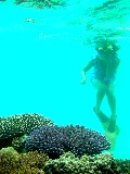 20110827_Cairns004.jpg