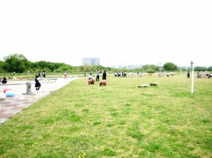 4年淀川公園.JPG