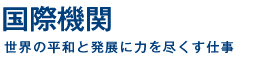 国際機関　世界の平和と発展に力を尽くす仕事