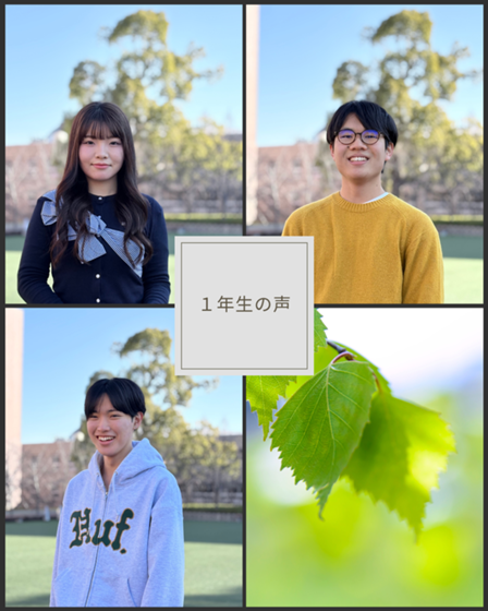 Instagram AwardUpdates関係.png