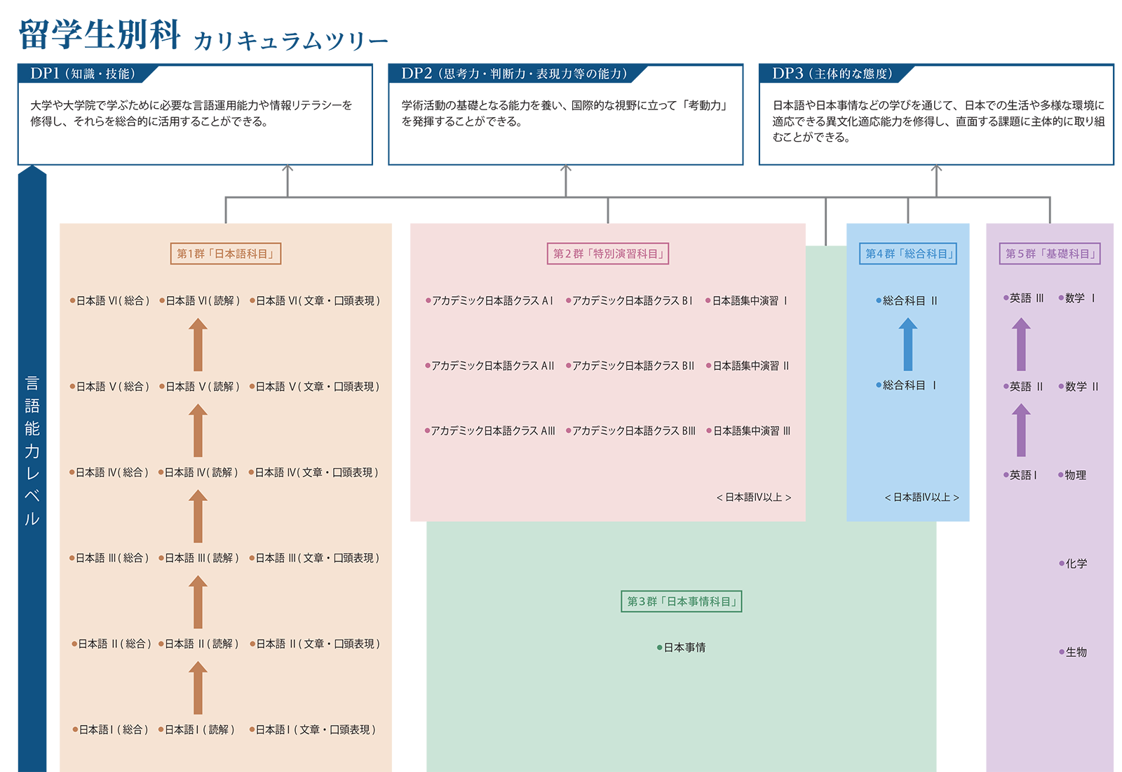 留学生別科 カリキュラムツリー