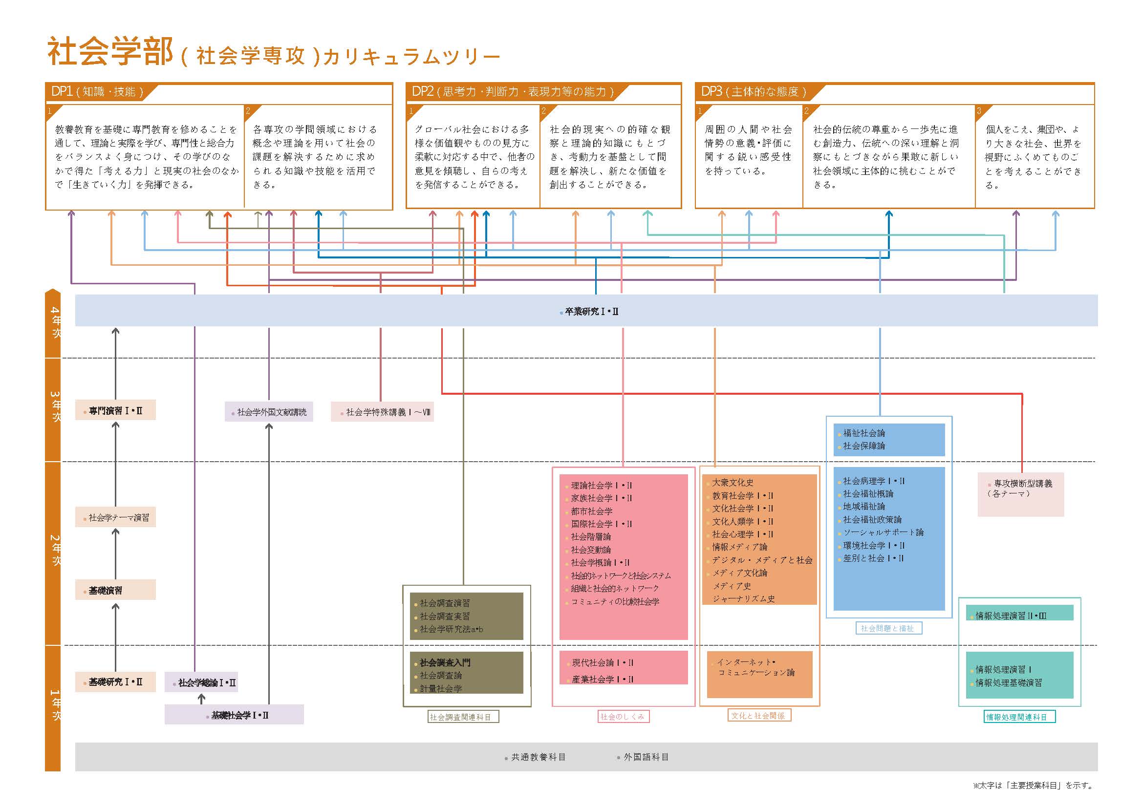 社会学部 カリキュラムツリー