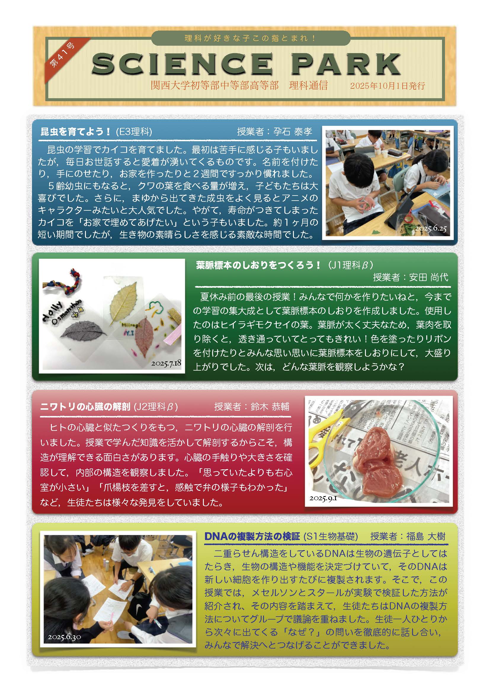 第41号
