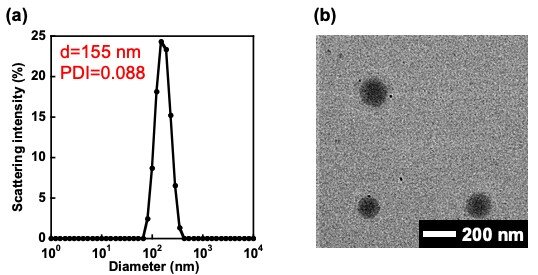 図1. キラル液晶高分子ミセルの(a)粒径分布および(b)透過型電子顕微鏡画像.jpg