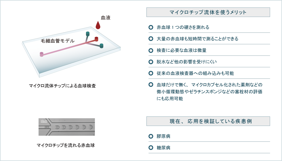 マイクロチップを流れる赤血球 / マイクロ流体チップを使うメリット / 現在、応用を検証している疾患例