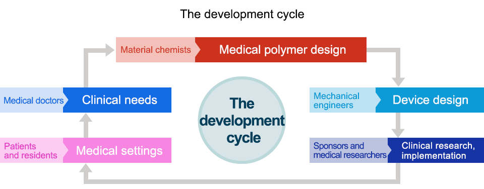 The development cycle