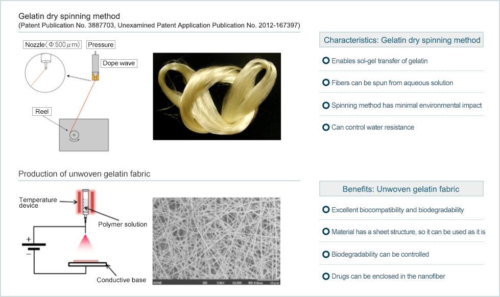 Illustration of gelatin nanofibers