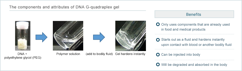 Illustration of gelatin nanofibers